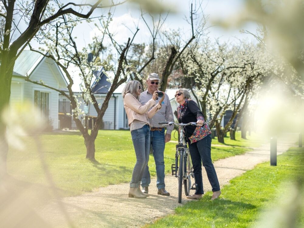 Greytown Orchards Retirement Village trees in blossom